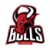logo Bulls Team Volley